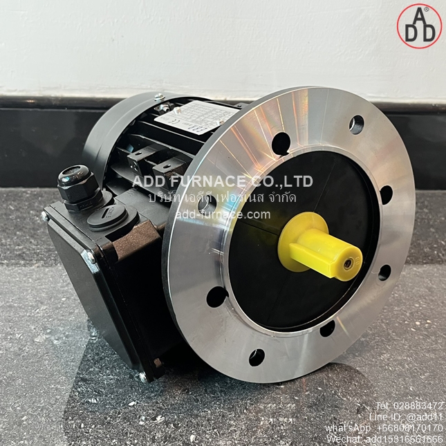 TYPE YE3-80M2-2 B5 (6)